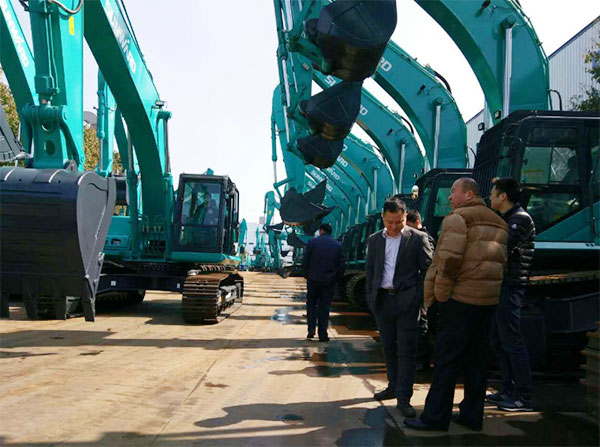 快来看，快来看，这里有一群绿精灵