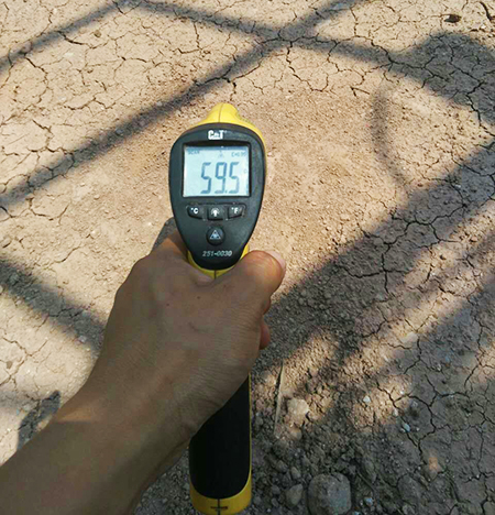 弘扬女排精神：尊龙凯时官网网址智能炎夏效劳二三事