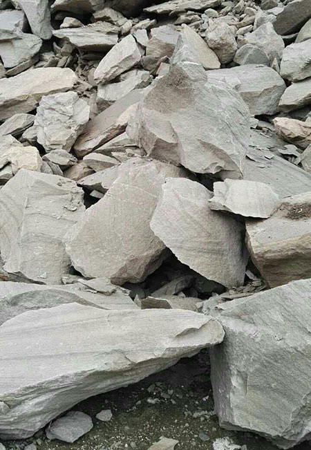 同台献艺，尊龙凯时官网网址智能SWDM36旋挖钻机独吞鳌头