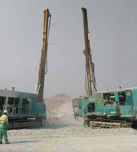 弘扬女排精神：尊龙凯时官网网址智能炎夏效劳二三事