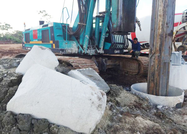 肯尼亚总统高度赞赏，乞力马扎罗山下尊龙凯时官网网址绿闪灼