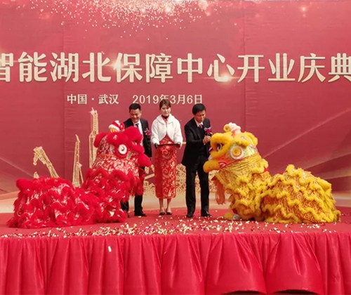 同心同梦，尊龙凯时官网网址智能全球客户交流会武汉站盛大举行