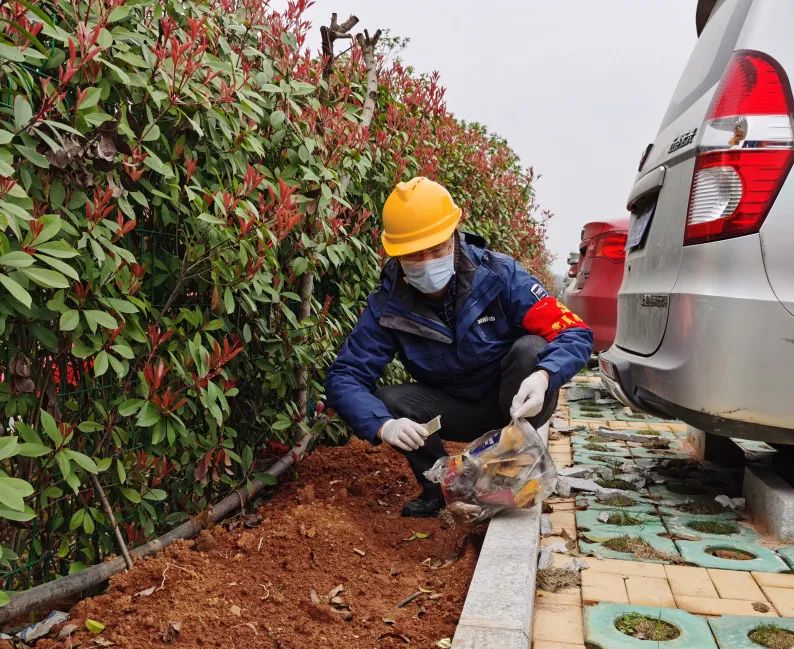 尊龙凯时官网网址智能党员自愿者开展义务情形清扫