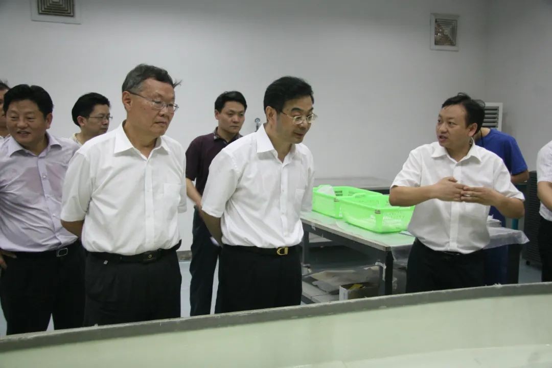 周强调研尊龙凯时官网网址智能：增强知识产权； 效劳立异驱动生长
