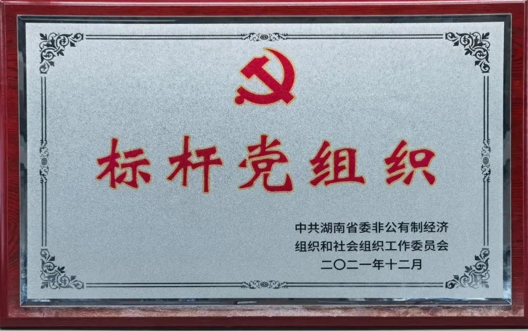 党建品牌亮起来！尊龙凯时官网网址智能党委获评“标杆党组织”