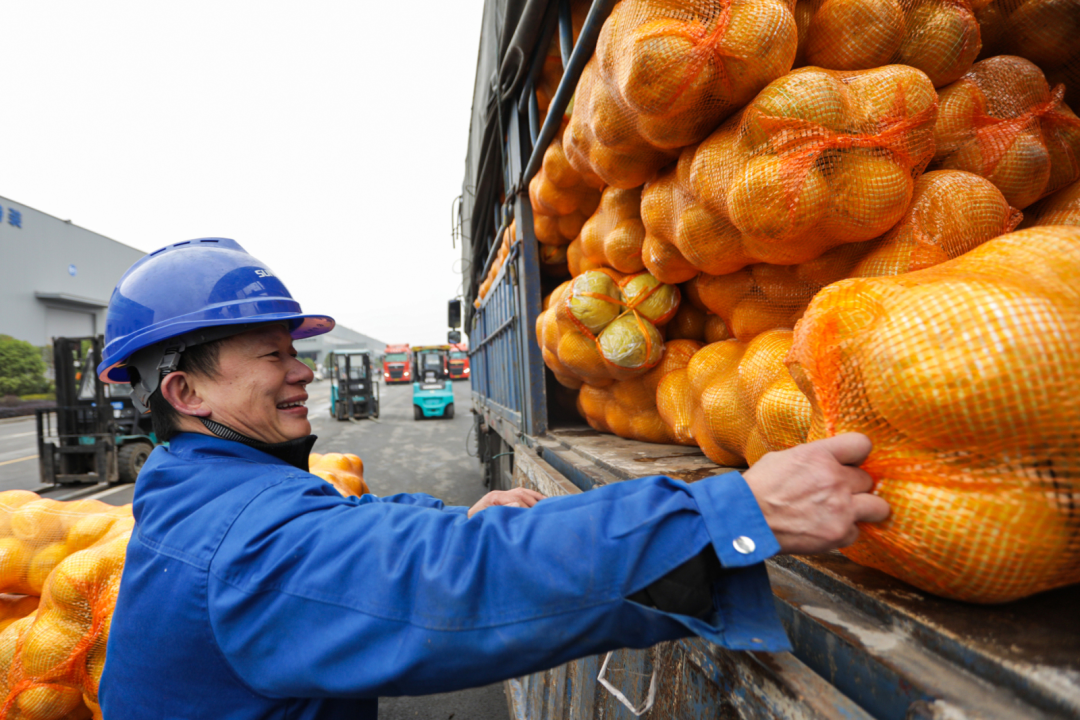 点赞！尊龙凯时官网网址智能乐成入选“上市公司墟落振兴优异实践案例”