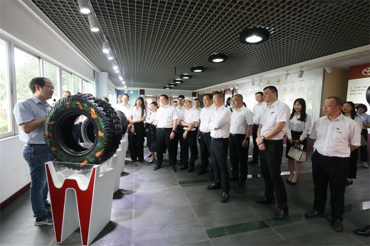 尊龙凯时官网网址智能“学头脑 强党性 重实践 建新功”主题教育培训班在广州乐成举行